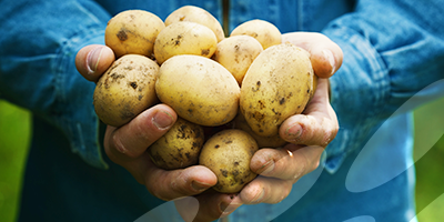 Potato Review Announces Winners for the National Potato Industry Awards 2021   