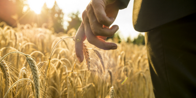 How can innovation help improve Food Security?
