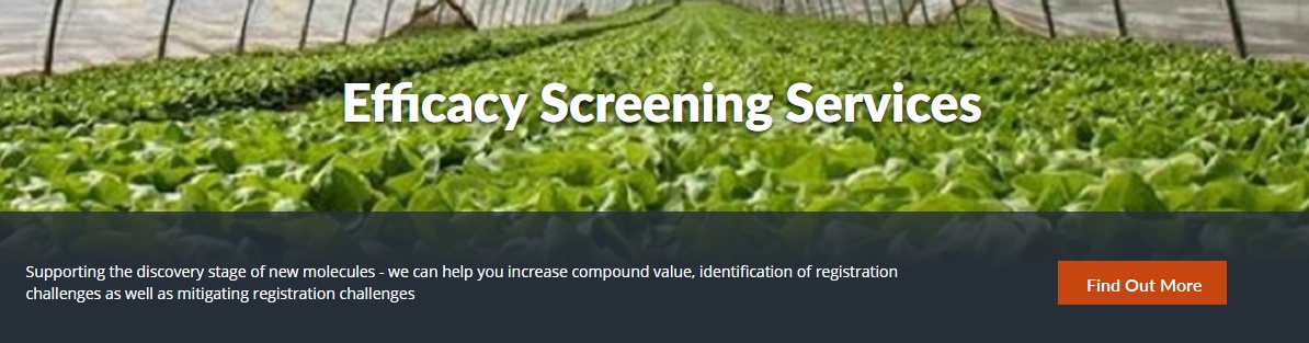 Efficacy Screening Services