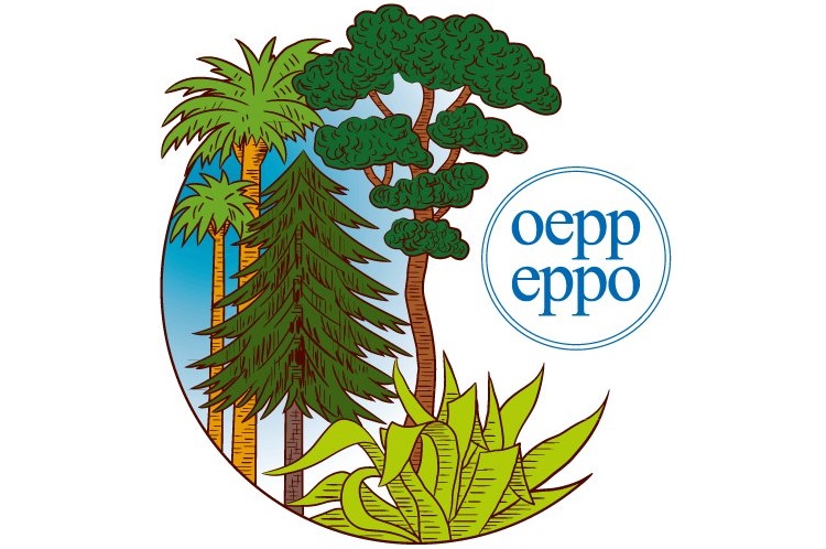 oeppo Logo